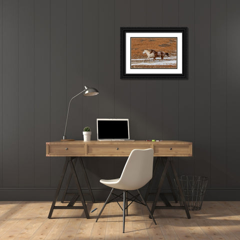 USA- Wyoming. Hideout Horse Ranch- horses in snow. Black Ornate Wood Framed Art Print with Double Matting by Looney, Hollice