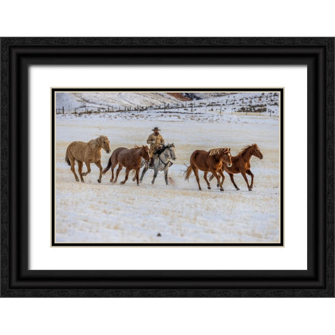 USA- Wyoming. Hideout Horse Ranch- wrangler and horses in snow. Black Ornate Wood Framed Art Print with Double Matting by Looney, Hollice