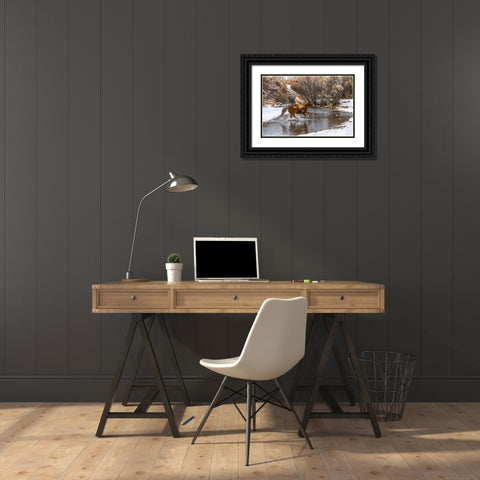 USA- Wyoming. Hideout Horse Ranch- wrangler crossing the stream on horseback. Black Ornate Wood Framed Art Print with Double Matting by Looney, Hollice