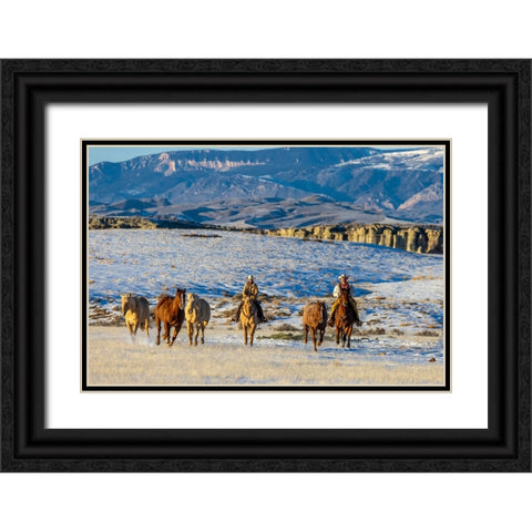 USA- Wyoming. Hideout Horse Ranch- wranglers and horses. Black Ornate Wood Framed Art Print with Double Matting by Looney, Hollice
