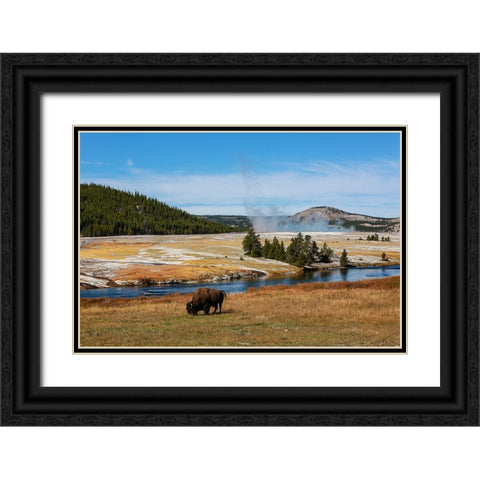 Yellowstone National Park-USA-Wyoming Buffalo and Old Faithful Black Ornate Wood Framed Art Print with Double Matting by Sienda, Jolly
