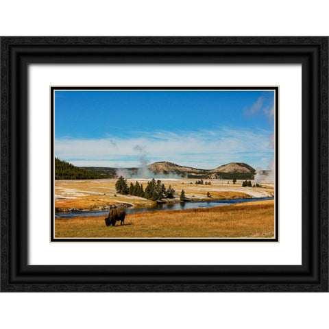 Yellowstone National Park-USA-Bison-buffalo-Steam-Old Faithful-Yellowstone River Black Ornate Wood Framed Art Print with Double Matting by Sienda, Jolly