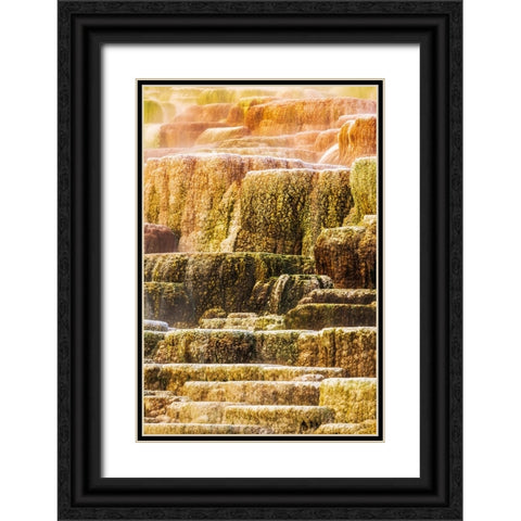 Travertine terraces at Minerva Spring-Mammoth Hot Springs-Yellowstone National Park-Wyoming-USA Black Ornate Wood Framed Art Print with Double Matting by Bishop, Russ