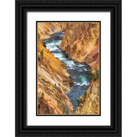The Yellowstone River in the Grand Canyon of the Yellowstone-Yellowstone National Park-Wyoming-USA Black Ornate Wood Framed Art Print with Double Matting by Bishop, Russ