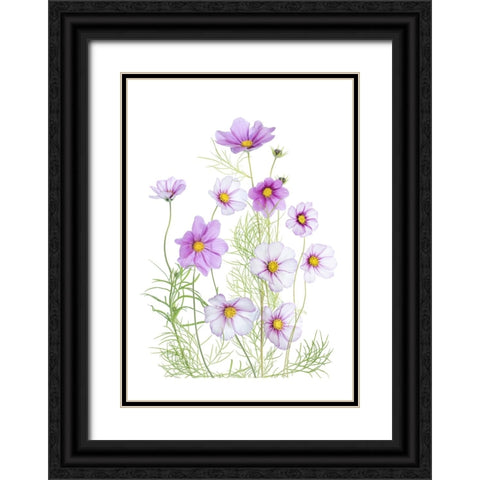 Cosmos Comfort Black Ornate Wood Framed Art Print with Double Matting by Disher, Mandy