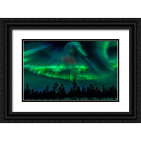 Northern Bell Black Ornate Wood Framed Art Print with Double Matting by Schwartz, Yair