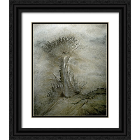 Flow Pattern Black Ornate Wood Framed Art Print with Double Matting by Talen, Nel