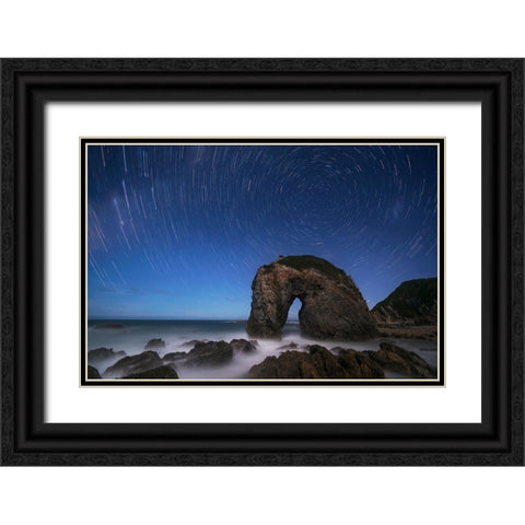Horse Head Rock Black Ornate Wood Framed Art Print with Double Matting by Zhu, Jingshu