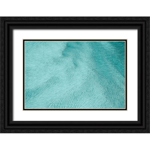 Cracks Black Ornate Wood Framed Art Print with Double Matting by Elena, Raceala