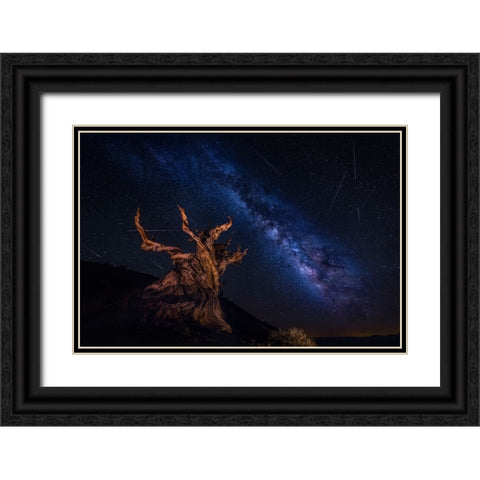 Shooting Stars Night Black Ornate Wood Framed Art Print with Double Matting by Zheng, Michael
