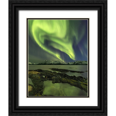 The Aliensaas Head Black Ornate Wood Framed Art Print with Double Matting by Smid Master, Jan