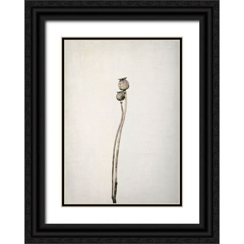 Two Old Poppies Black Ornate Wood Framed Art Print with Double Matting by Gronkjar, Lotte