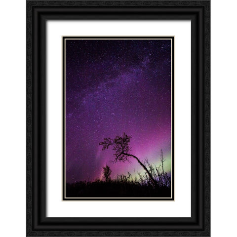 Under The Stars - 1 Black Ornate Wood Framed Art Print with Double Matting by Ifrim, Sorin
