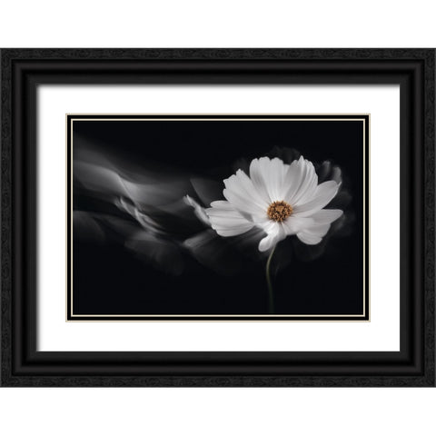 Symphony White Black Ornate Wood Framed Art Print with Double Matting by Karpova, Inna