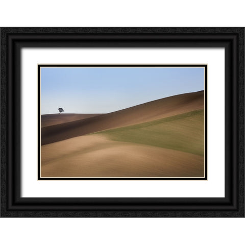 S.T. 009 Black Ornate Wood Framed Art Print with Double Matting by Gray, Dorian