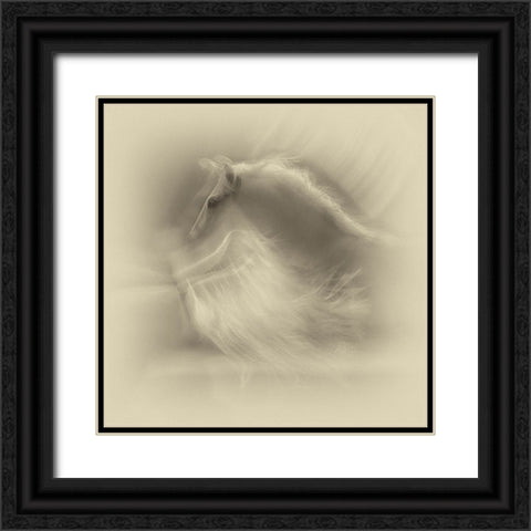 White On White Black Ornate Wood Framed Art Print with Double Matting by Malovrh, Milan