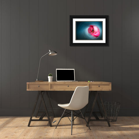 Pink Ballerina Black Ornate Wood Framed Art Print with Double Matting by Abu, Dekel