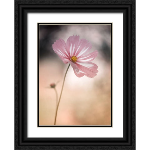 Cosmos Black Ornate Wood Framed Art Print with Double Matting by Gronkjar, Lotte