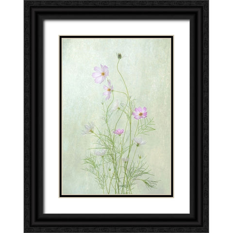 Cosmos Black Ornate Wood Framed Art Print with Double Matting by W., Catherine