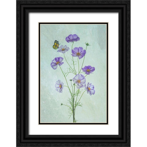 Elegant Cosmos Flowers Black Ornate Wood Framed Art Print with Double Matting by Jacobs, Lydia