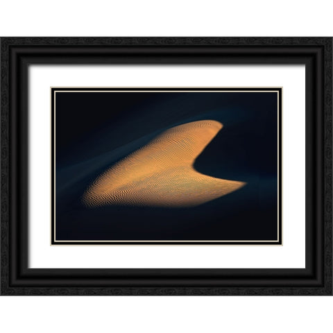 Real Heart In The Desert Black Ornate Wood Framed Art Print with Double Matting by Behzad, Majid