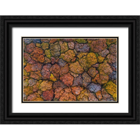 Above The Autumn Black Ornate Wood Framed Art Print with Double Matting by Ruoppolo, Luigi