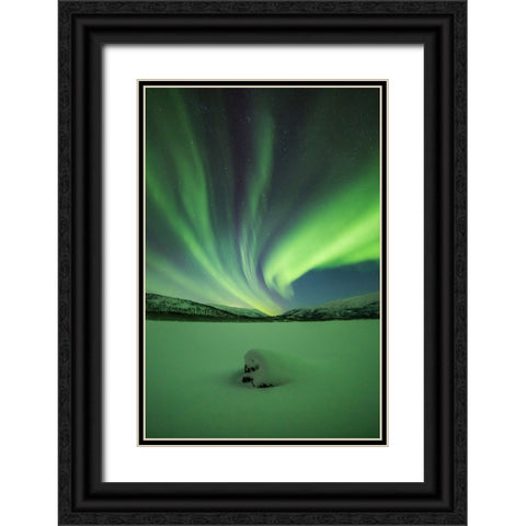 Branching Lights Black Ornate Wood Framed Art Print with Double Matting by Mikelborg, Niklas