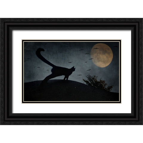 the curious tail of the cat filemon... Black Ornate Wood Framed Art Print with Double Matting by Fabrowski, Robert