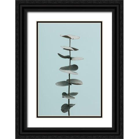Eucalyptus Blue No 1 Black Ornate Wood Framed Art Print with Double Matting by 1x Studio III