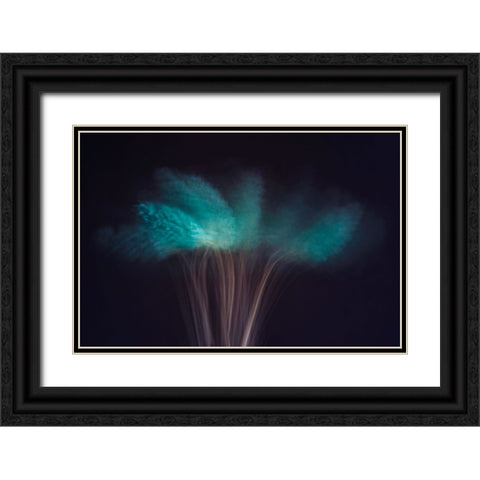 Visions in the Dark Black Ornate Wood Framed Art Print with Double Matting by Kiral, Cicek