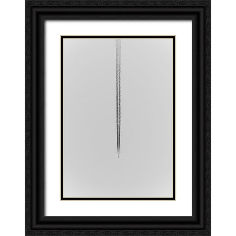 Trails. Black Ornate Wood Framed Art Print with Double Matting by Gogami Farina, Alessandro