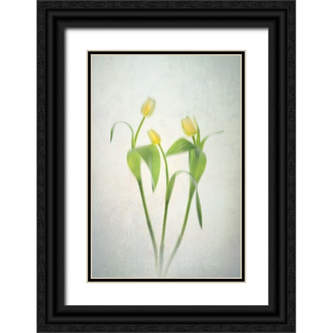 Yellow Tulips Black Ornate Wood Framed Art Print with Double Matting by Jacobs, Lydia
