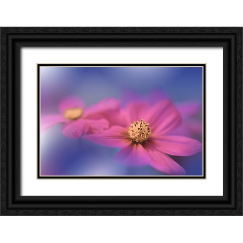 A Colorful World.. Black Ornate Wood Framed Art Print with Double Matting by Nan, Juliana