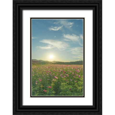 its like a dream Black Ornate Wood Framed Art Print with Double Matting by Yano, Masahiro