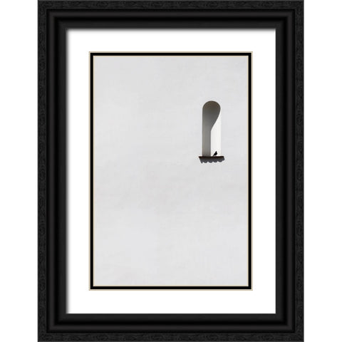 Single dove Black Ornate Wood Framed Art Print with Double Matting by Cederberg, Marcus