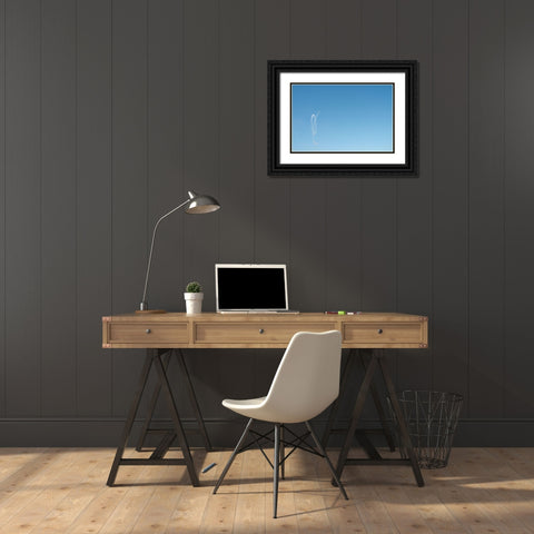 Wohooo Black Ornate Wood Framed Art Print with Double Matting by Cederberg, Marcus