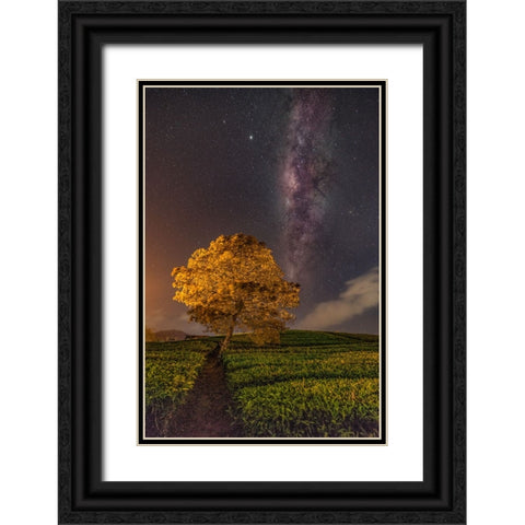 milky way Black Ornate Wood Framed Art Print with Double Matting by Liza, Lety