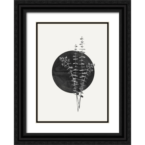 Plant and Black Sun Black Ornate Wood Framed Art Print with Double Matting by The Miuus Studio