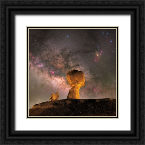 Mushroom Black Ornate Wood Framed Art Print with Double Matting by Chander, Vikas