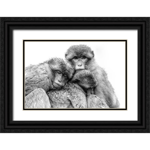 Keep together Black Ornate Wood Framed Art Print with Double Matting by de Jong, Arendina
