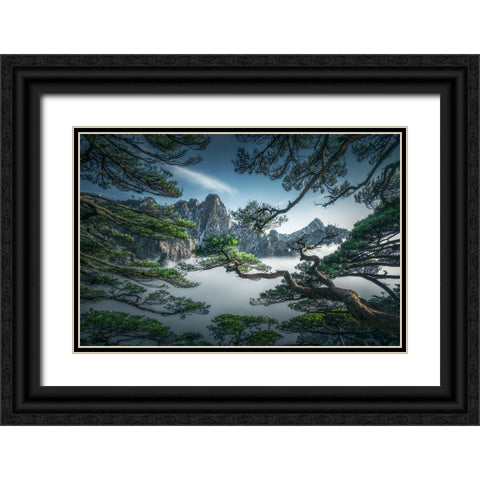 Strange Pine Tree In Yellow Mountain Black Ornate Wood Framed Art Print with Double Matting by Ye, Ningyun