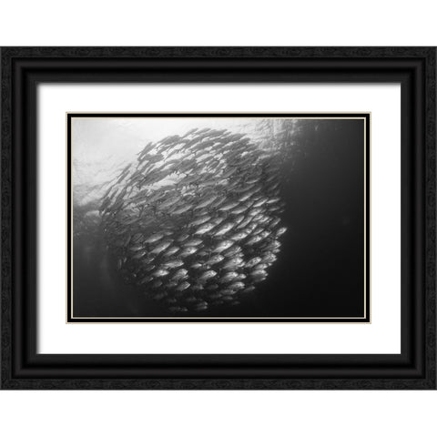 Ball Black Ornate Wood Framed Art Print with Double Matting by Y Lin, Ryan