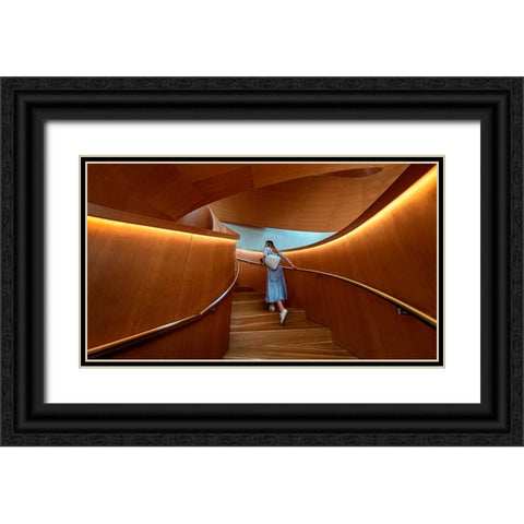 Stairs 2 Black Ornate Wood Framed Art Print with Double Matting by Zhou, Steven