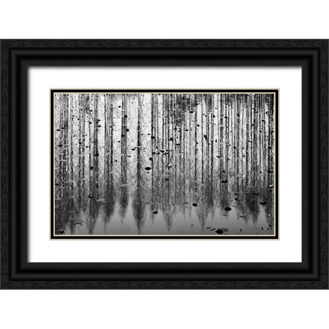 tall reflection Black Ornate Wood Framed Art Print with Double Matting by Kim, Youngil
