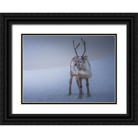 Against The Elements Black Ornate Wood Framed Art Print with Double Matting by Venier, Giovanni