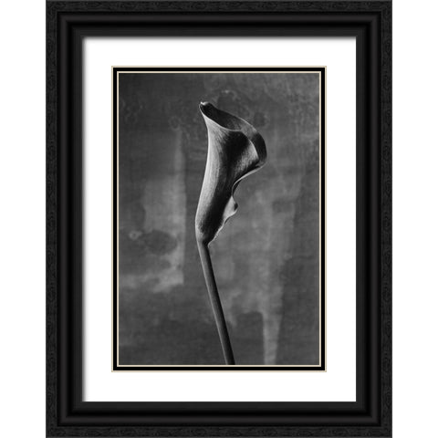Flower_3 Black Ornate Wood Framed Art Print with Double Matting by Mori, Kenji