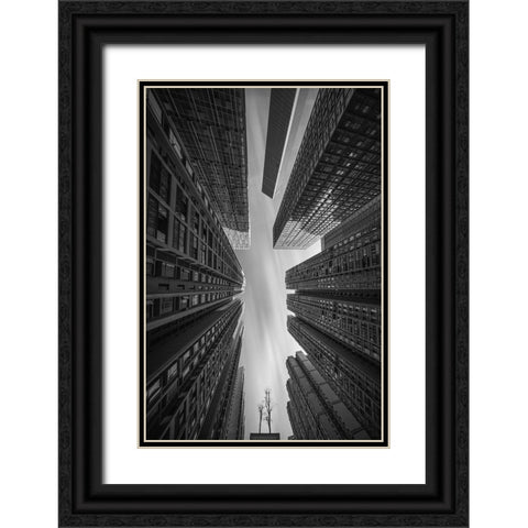 Forest City Black Ornate Wood Framed Art Print with Double Matting by Tianqi