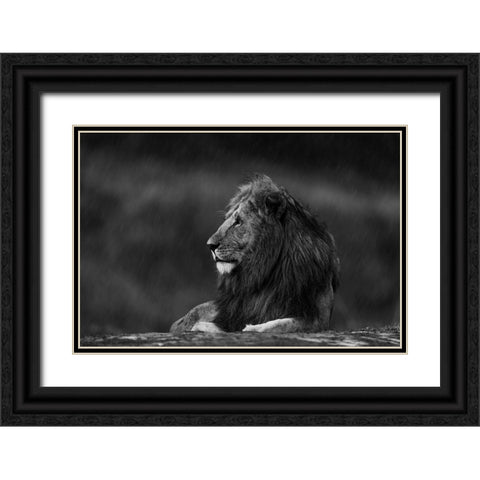 Rainy King Black Ornate Wood Framed Art Print with Double Matting by Sobhi, Ahmed