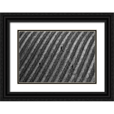 Vineyard Black Ornate Wood Framed Art Print with Double Matting by Mao, Yun