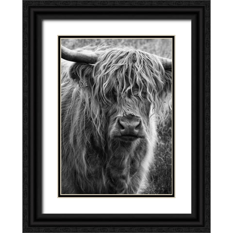 Highland cattle Black Ornate Wood Framed Art Print with Double Matting by Gronkjar, Lotte